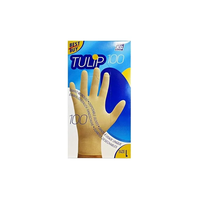 Disposable Gloves Household Size L 100 Pairs
