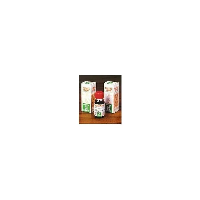 Specchiasol Witch Hazel 15 50 Milliliters Tincture