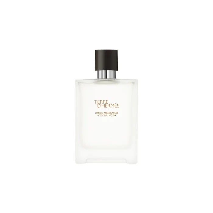 Hermes Terre D'Hermes After Shave 100ml