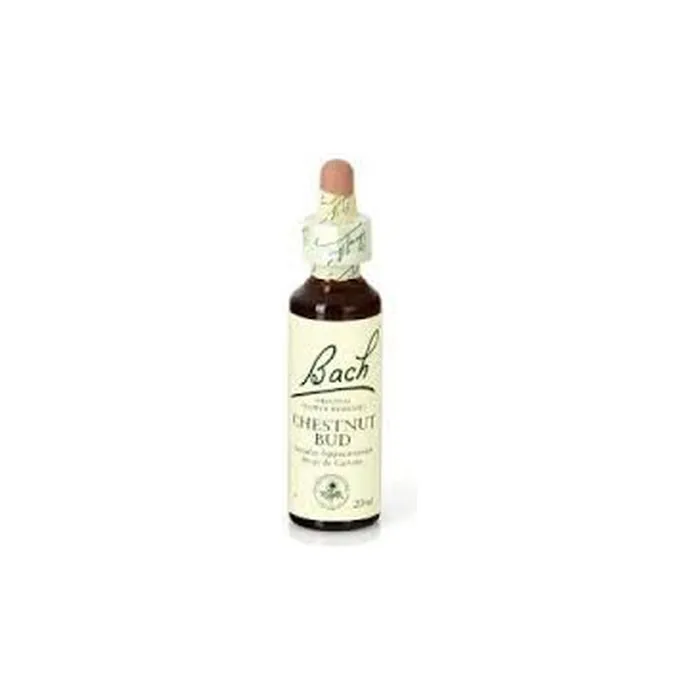 Bach Chestnut Bud 20ml