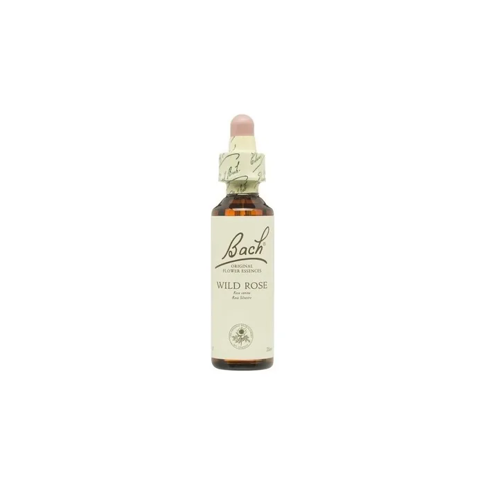 Bach Flower No 37 Wild Rose 20ml