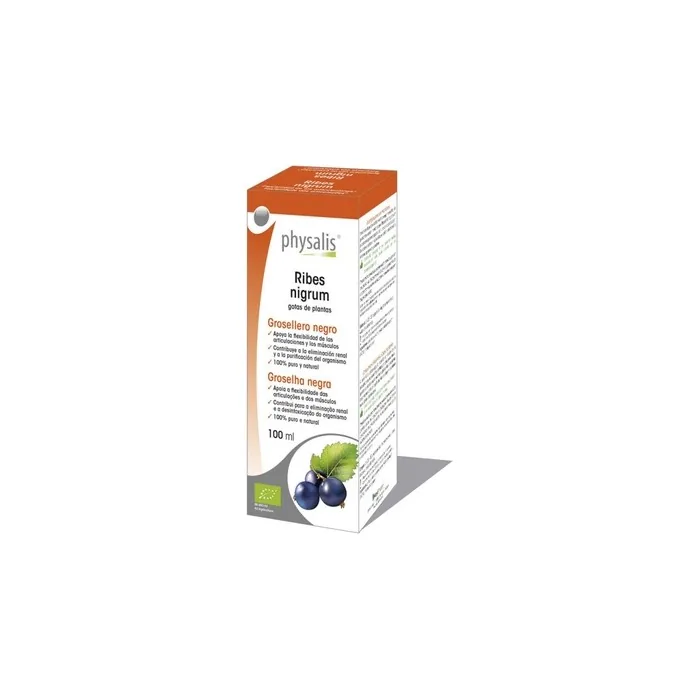 Physalis Blackcurrant Ribes Nigrum Hydroalcoholic Extract Organic 100ml