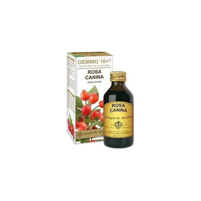 Drgiorgini Servis Srl Gemmo 10 Rosa Canina Alcoholfree Liquid 100 Milliliters