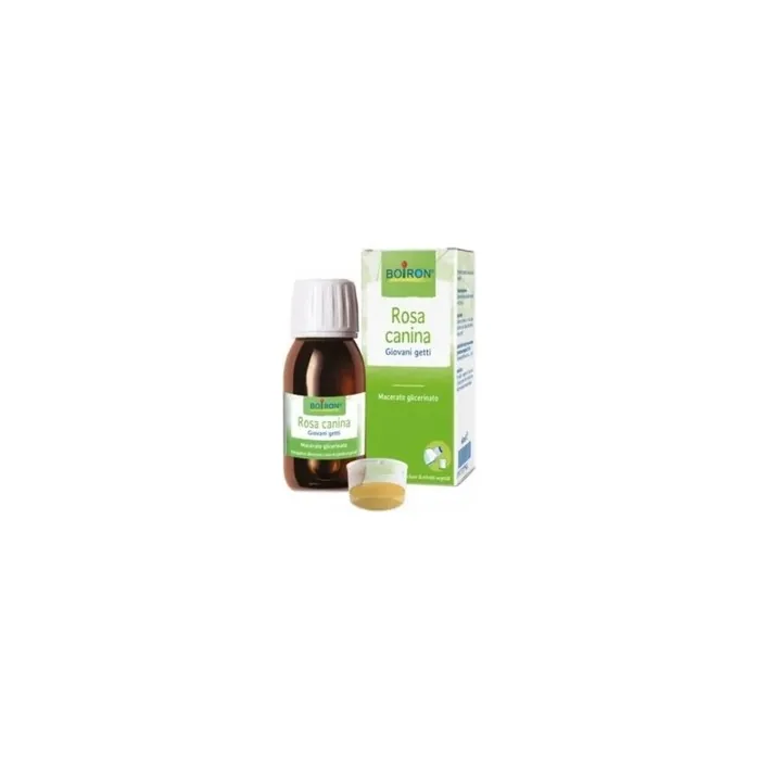 Boiron Rosa Canina Young Shoots Glycerin Macerate 60 Ml Syrup