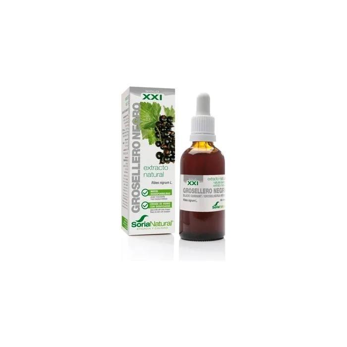 Soria Blackcurrant Extract S Xxi 50ml