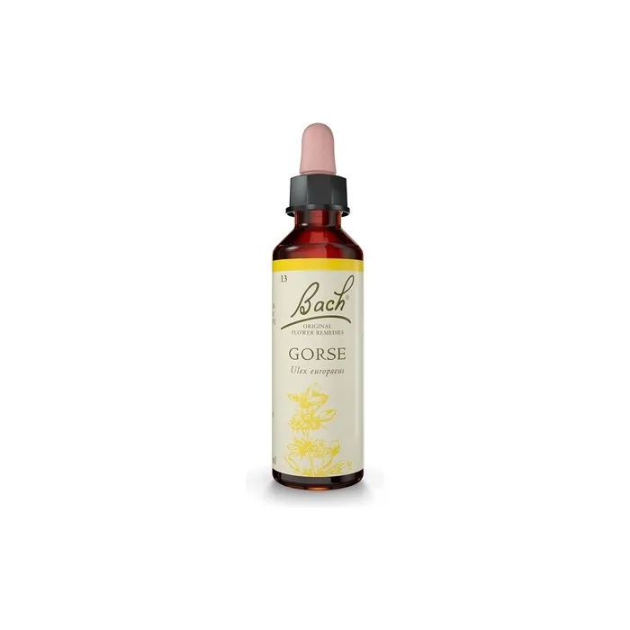 Nelsons Bach Flower Gorse 50ml