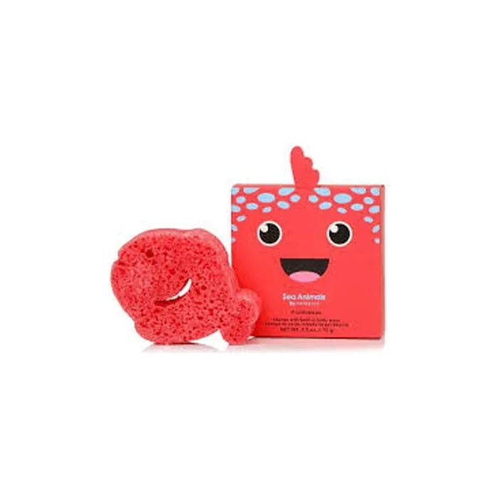 Sponge Sea Animals Fiona Fish Body Cleansing