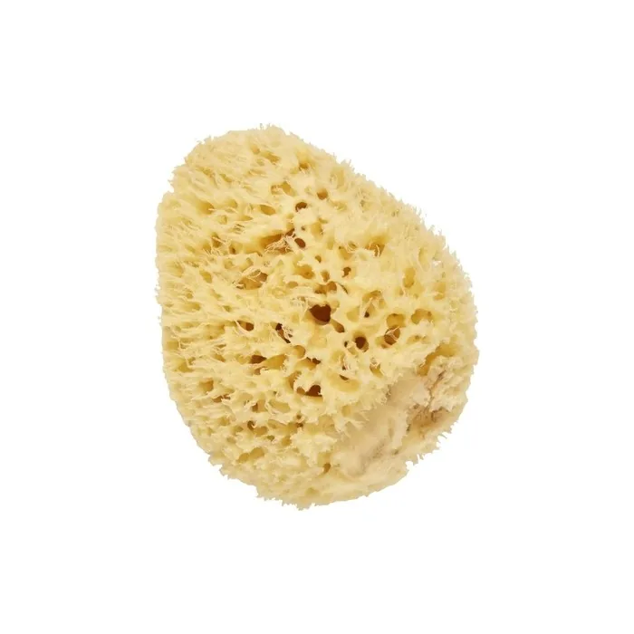 Cartel Natural Sea Sponge