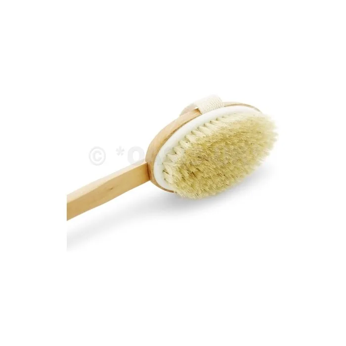 Top Choice Wooden Body Brush Massager 17 Inches