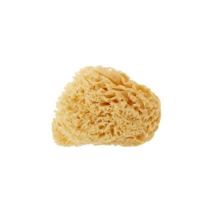 Shasa Backyard Family Natural Honeycomb Sponge Large 1416cm