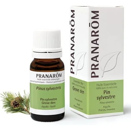 PRANAROM Body Oils 180ml Sylvester Pine