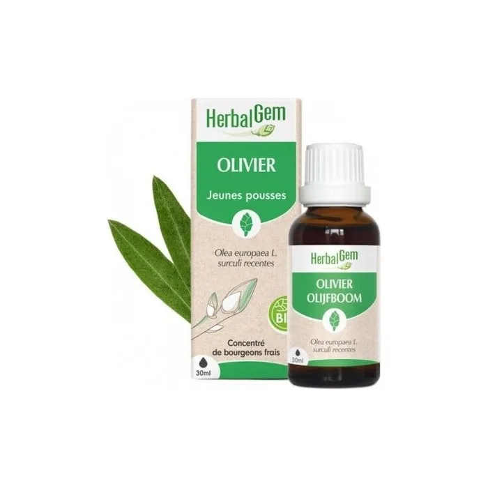 Herbalgem Olivier Bio