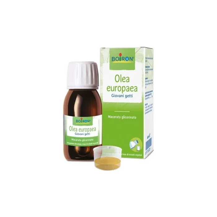 Olea Europaea Boiron Glycerin Macerate 60ml