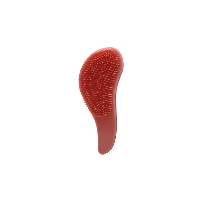 Dreamfix Tt Hairbrush Assorted