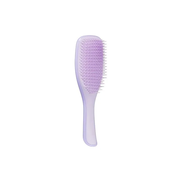 Tangle Teezer The Fine and Fragile Ultimate Detangler Hairbrush for Wet & Dry Hair Color Treated Fine Fragile Hair Hypnotic Heather 1 Count