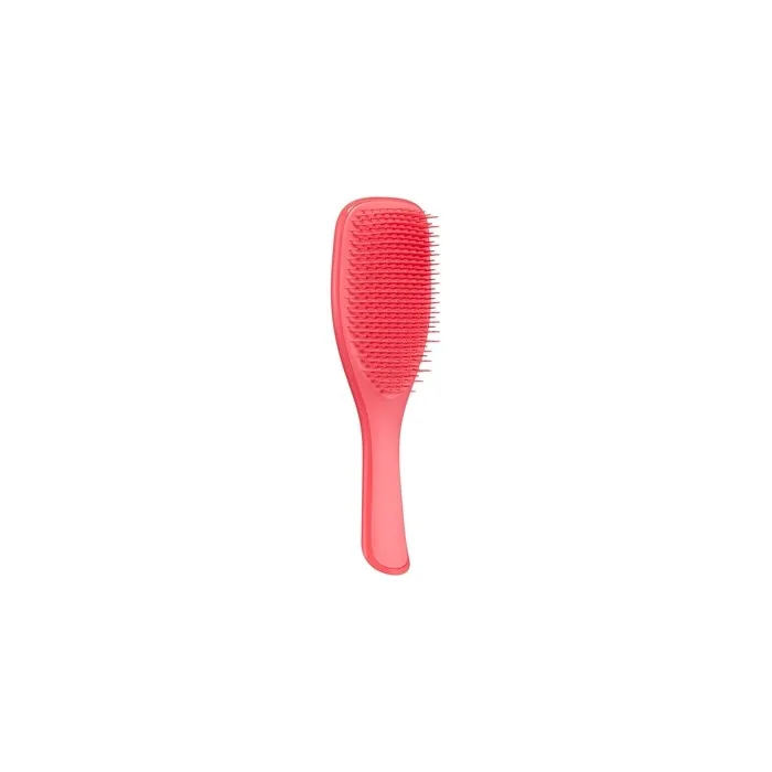 Tangle Teezer The Wet Detangler Hairbrush for Wet & Dry Hair - For All Hair Types