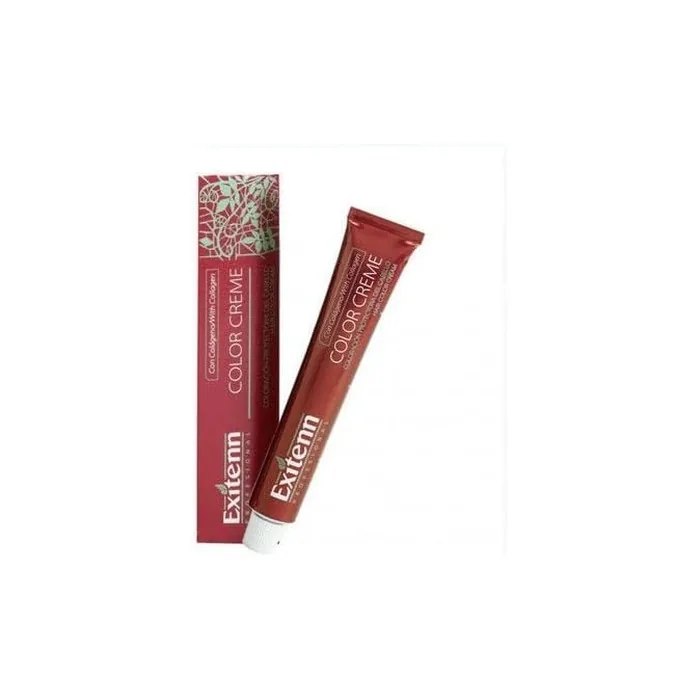 Exitenn Color Cream 60ml Color 1122 Wheat Beige