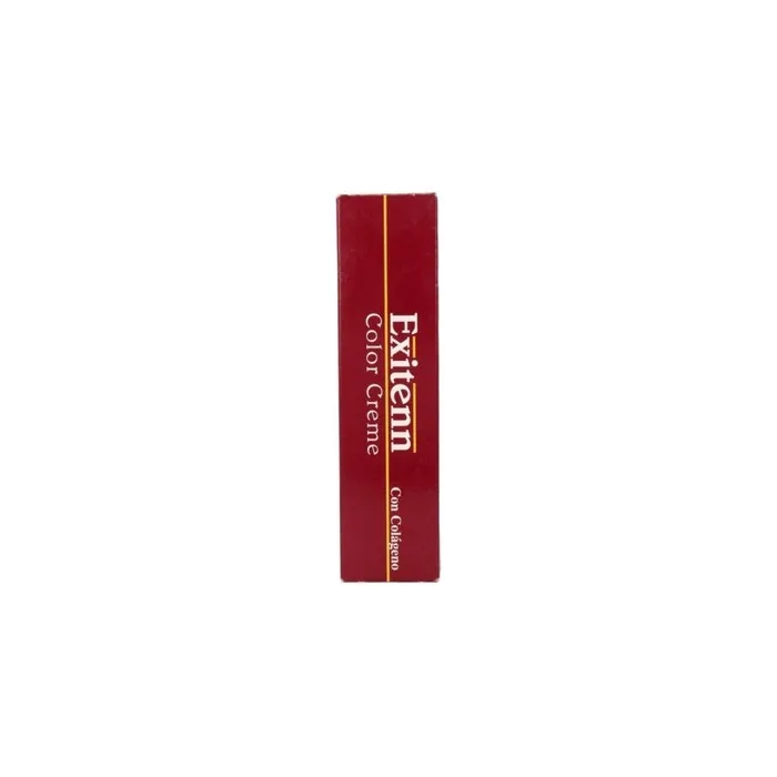 Exitenn Creme Permanent Hair Color Nº 100.4 60ml
