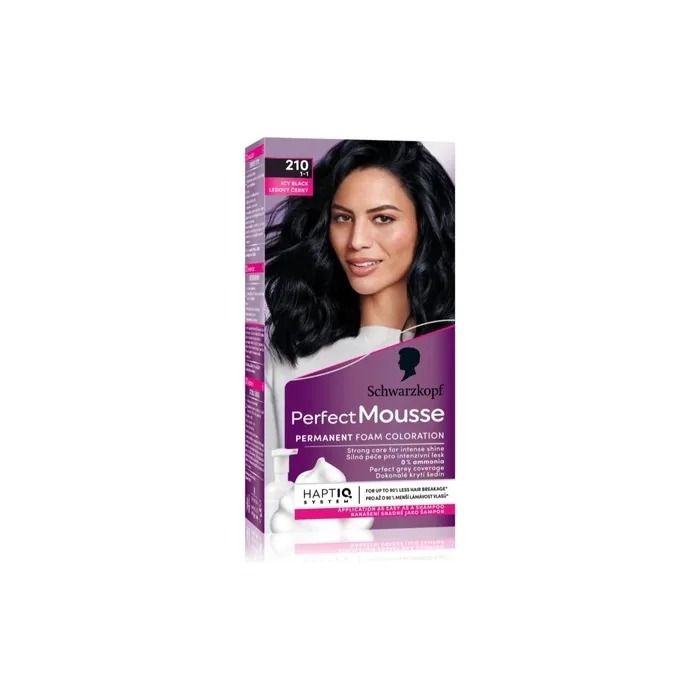 Schwarzkopf Perfect Mousse Permanent Hair Color 210 Icy Black