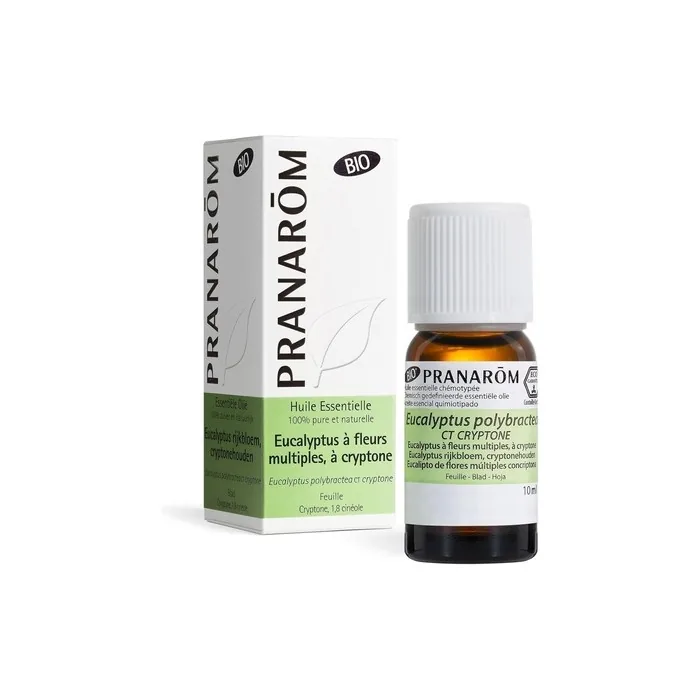 Pranarom Carpet Cleaners And Air Fresheners 10ml