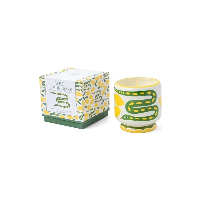 Paddywax Scented Candle Dopo Hand-Painted Ceramic Luxury Artisan 226g