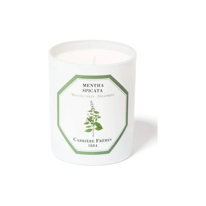 Carriere Freres Mentha Spicata - Spearmint 6.5 Oz Spearmint 4.5 Uk