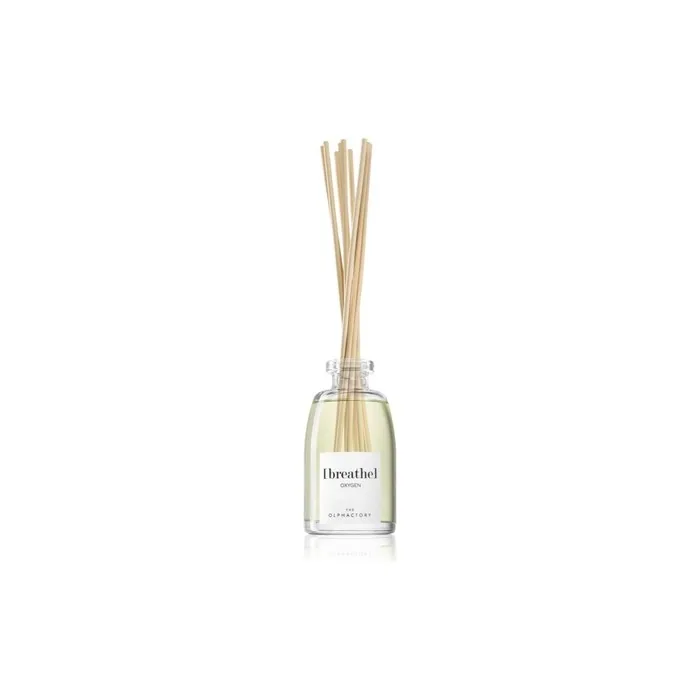 Ambientair Oxygen Aroma Diffuser Breathe 250 Ml