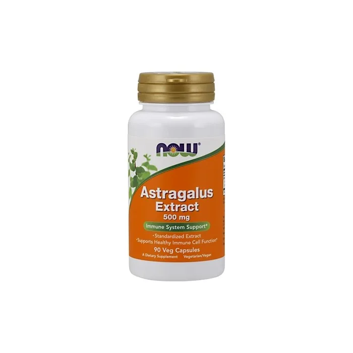 NOW Foods Astragalus Extract 500mg 90 Vegetarian Capsules