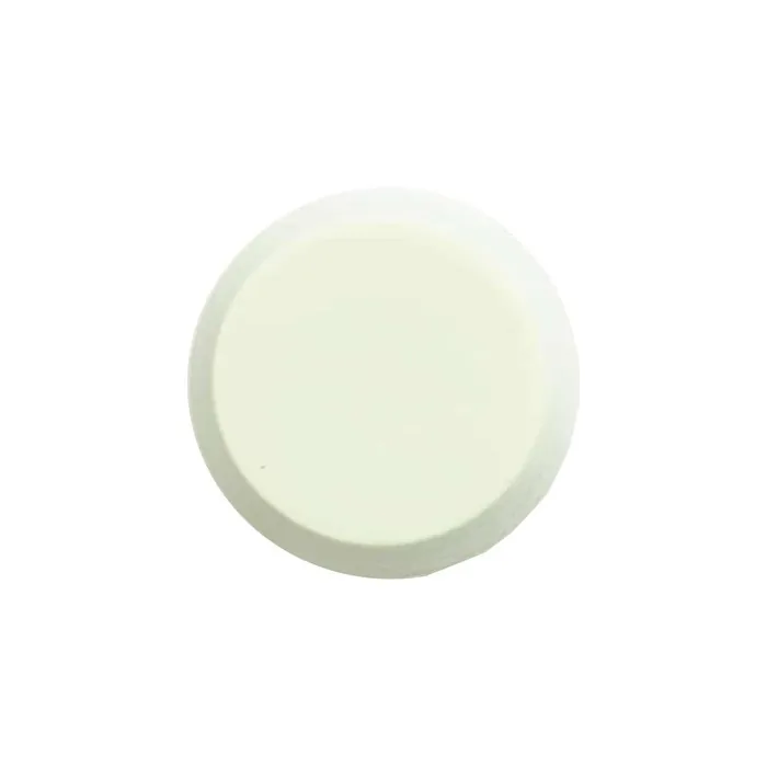 ShampooBars.nl Eucalyptus Conditioner Bar
