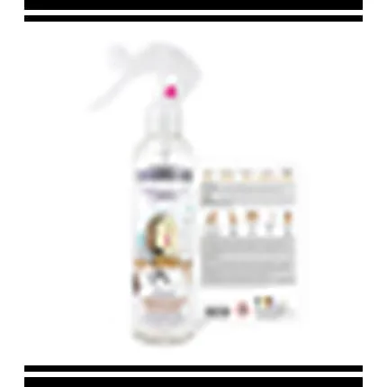The Fruit Company - Liquid Deodorant Spray - 250 Ml