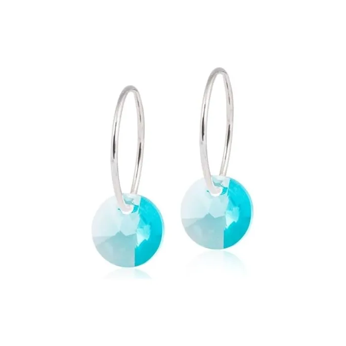 Blomdahl Hypoallergenic Natural Titanium Round Crystal Pendant Earrings