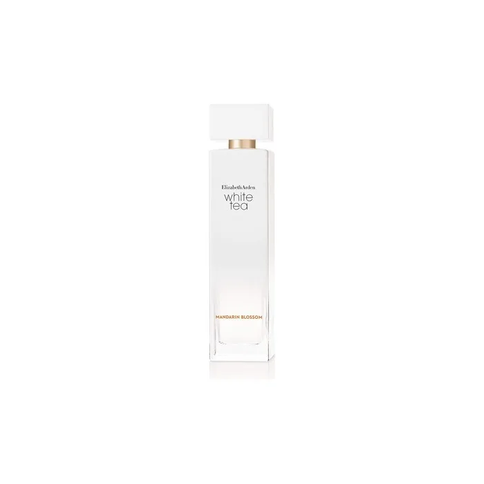 Elizabeth Arden Modern Spray Perfume for Women 3.3 Fl Oz