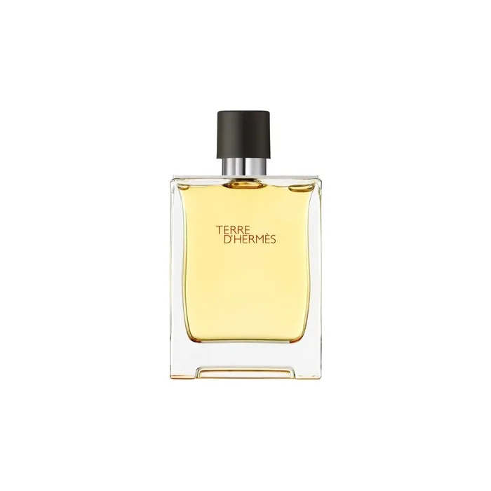 Hermes Terre D'Hermes Perfume Spray 200ml
