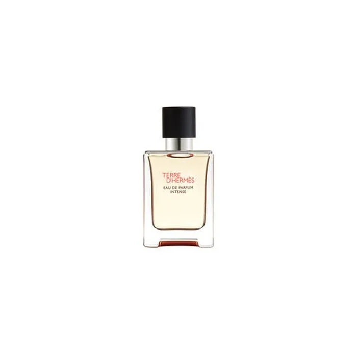 Hermes Terre D'Hermes Parfum Intense Eau De Parfum Vaporisateur 50 Ml
