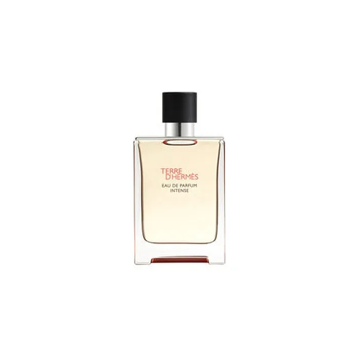 Hermes Terre D'Hermes Parfum Intense Eau De Parfum Spray 100 Ml