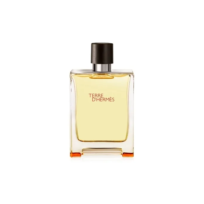 Hermes Terre D'Hermes Perfume Spray 75ml