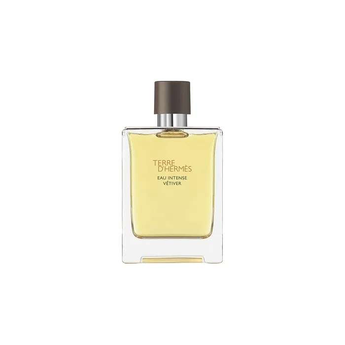Hermes Terre D'Hermes Eau Intense Vetiver Perfumed Water Spray 100ml - Product Without Packaging