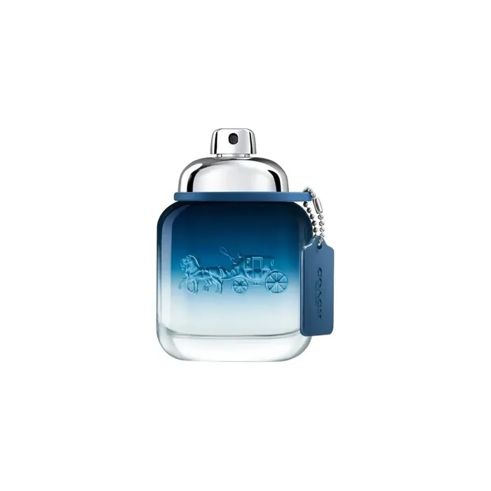 Coach Blue For Men Eau De Parfum Spray 100ml
