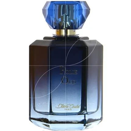 Diane Castel Oud Fragrance Spray 100ml