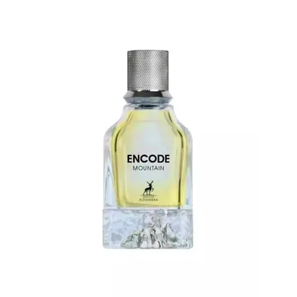 Maison Alhambra Encode Mountain 100ml EDP