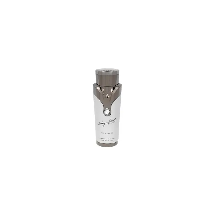 Armaf Magnificent Pour Homme Eau De Parfum 100ml