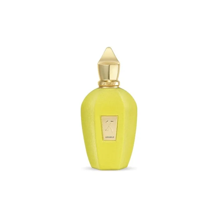 Xerjoff V Amabile Eau De Parfum Spray 100ml
