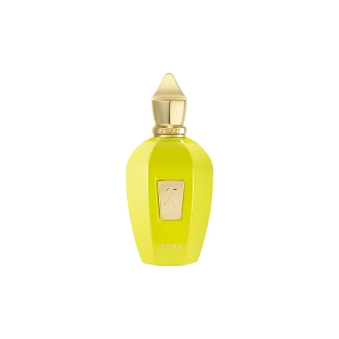 Xerjoff Amabile Eau De Parfum Spray 100ml
