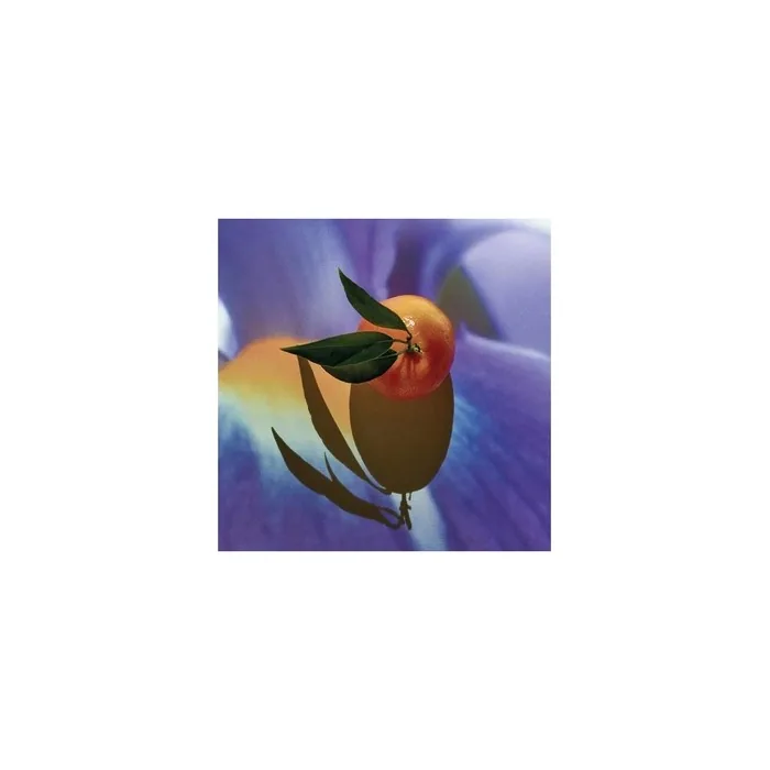 Loewe Loewe Solo Elixir 50 Ml