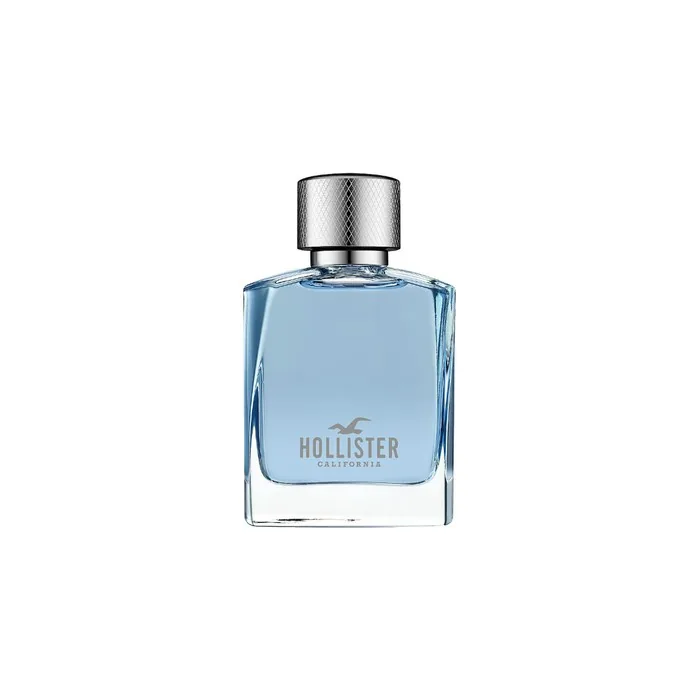 Hollister Wave For Him Eau De Toilette 100 Ml