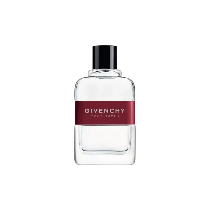 Givenchy Pour Homme Eau De Toilette Spray 100ml