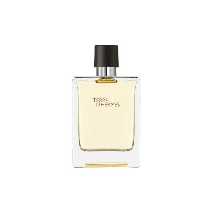 Hermes Terre D'Hermes Eau De Toilette Spray 100ml
