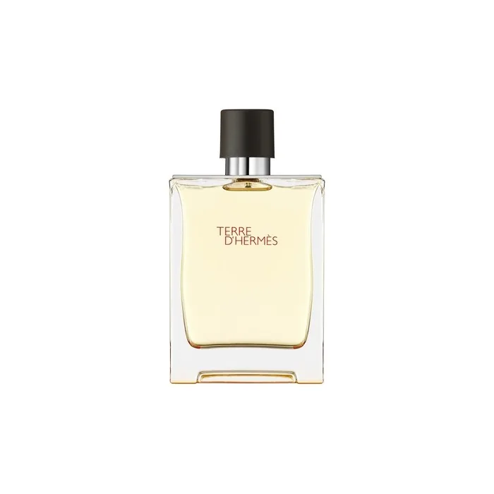 Hermes Terre D'Hermes Eau De Toilette Spray 200ml