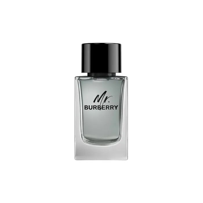 Burberry Mr. Burberry Eau De Toilette Spray 150ml