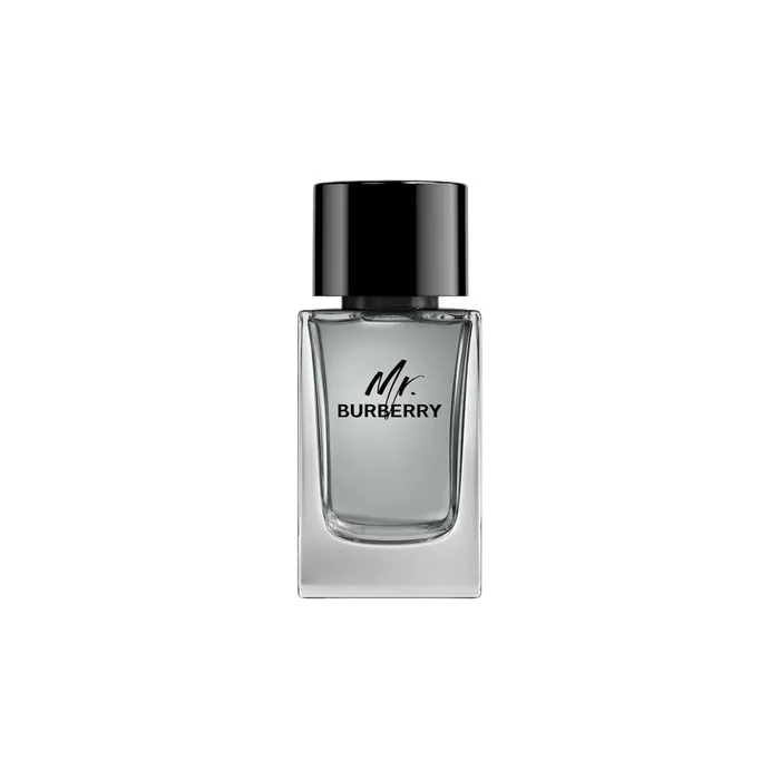 Burberry Mr. Burberry Eau De Toilette Spray 100ml
